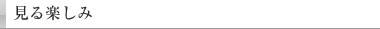 見る楽しみ